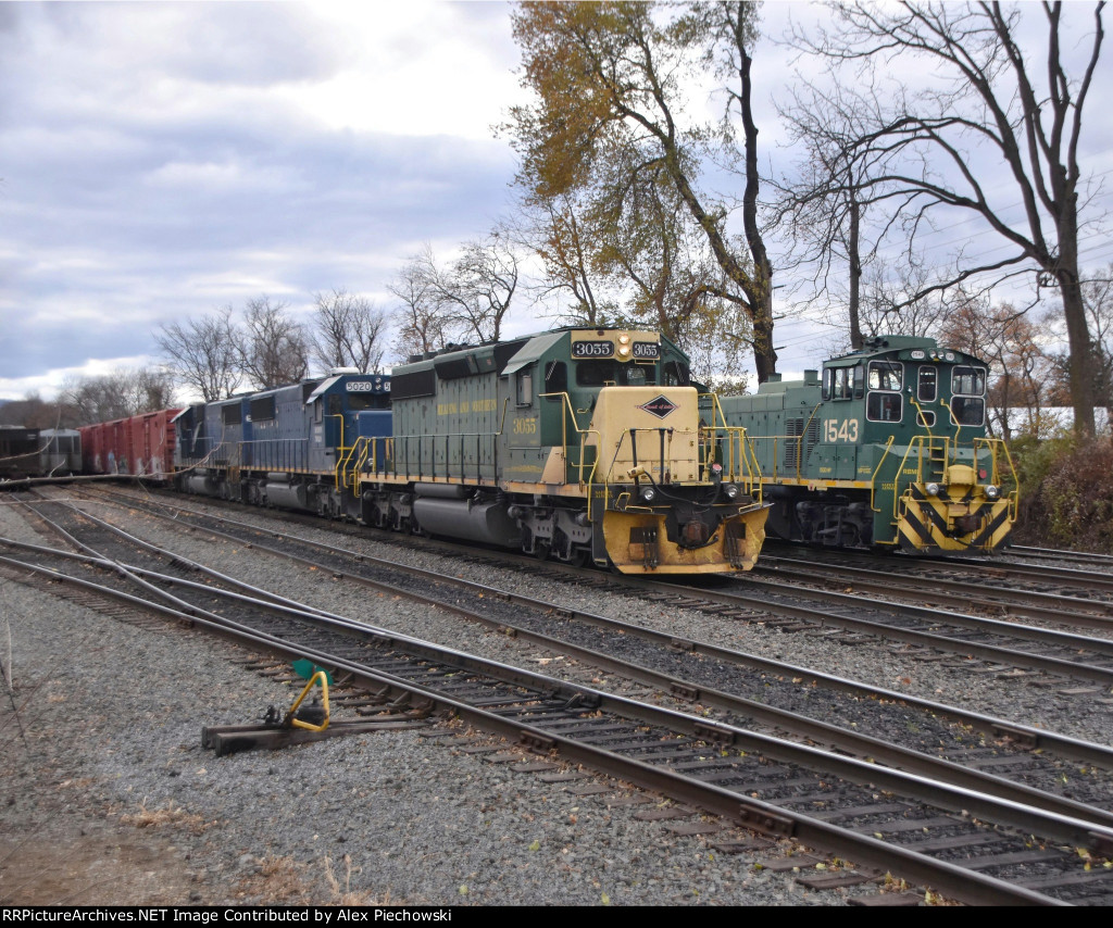 North end of the yard